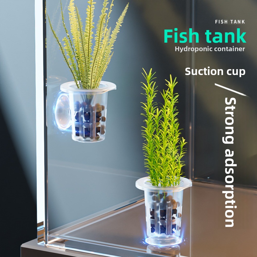 10Pcs Transparent Plant Hydrop - Hydroponic Grow Pod recension och pris