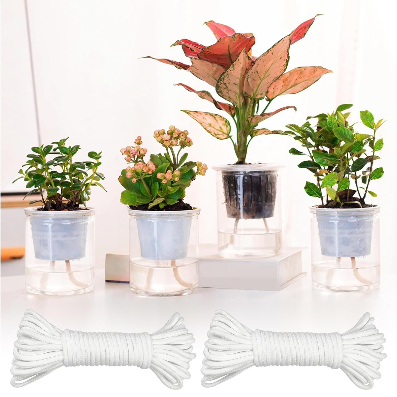 Plant Wicks For Self Watering  - Self Watering Planter recension och pris