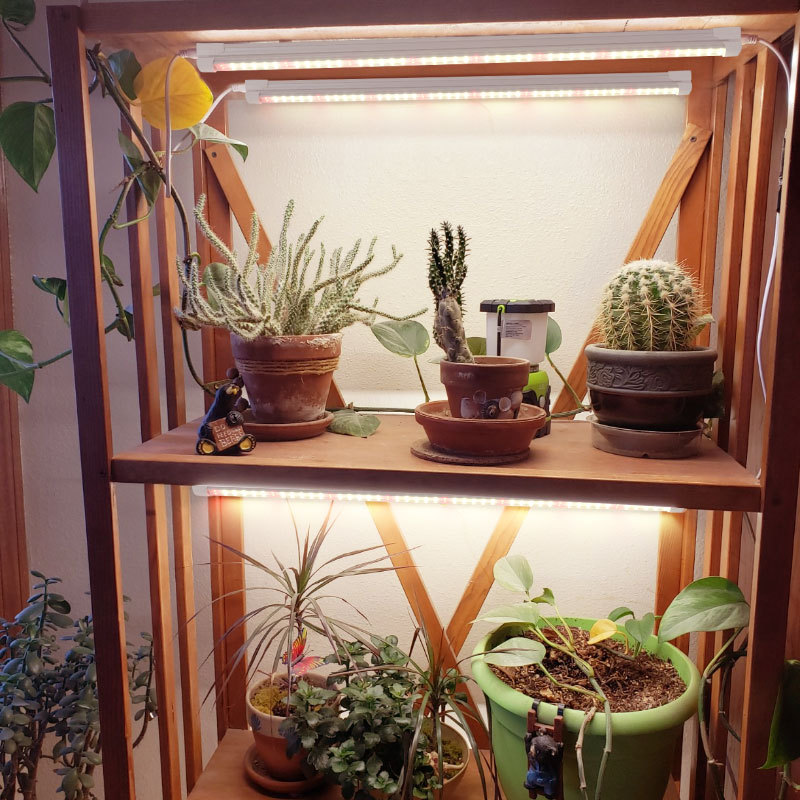 Indoor Green Plant Supplement  - Plant Grow Light Full Spectrum recension och pris