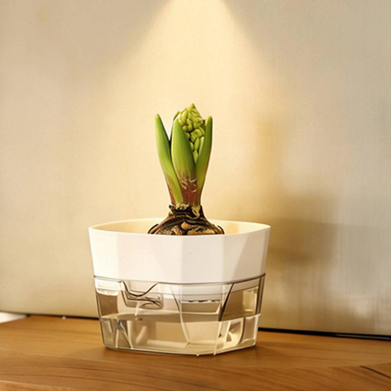 Hydroponic Vase Two Layer Self - Self Watering Planter recension och pris