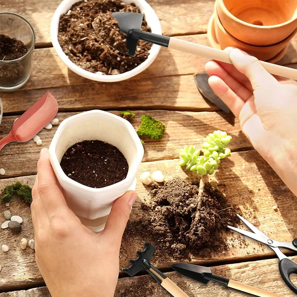 13PCS Succulent Plants Tool Se - Indoor Garden Kit recension och pris