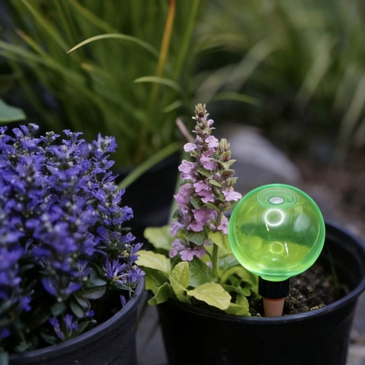 3pcs Large Plant Self Watering - Self Watering Planter recension och pris