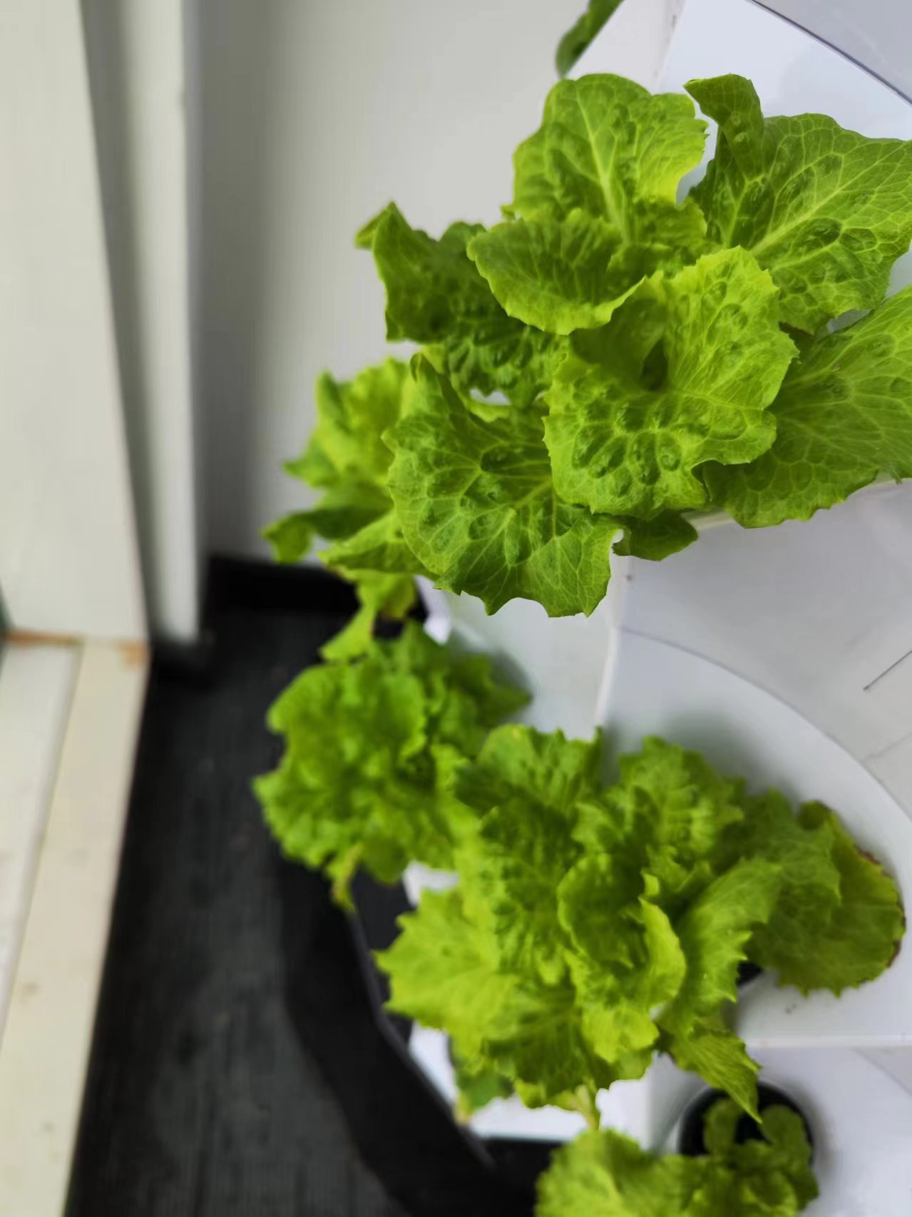 Farm Auto Irrigation Drip Kit  - Hydroponic Tower recension och pris