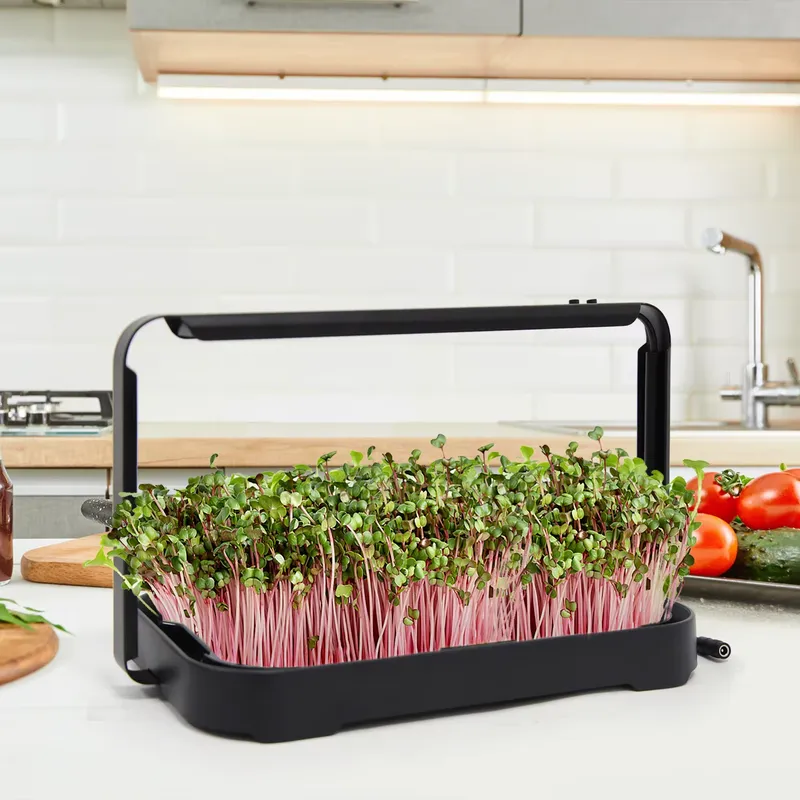 Hydroponic Tray Indoor Microgr - Indoor Garden Kit recension och pris