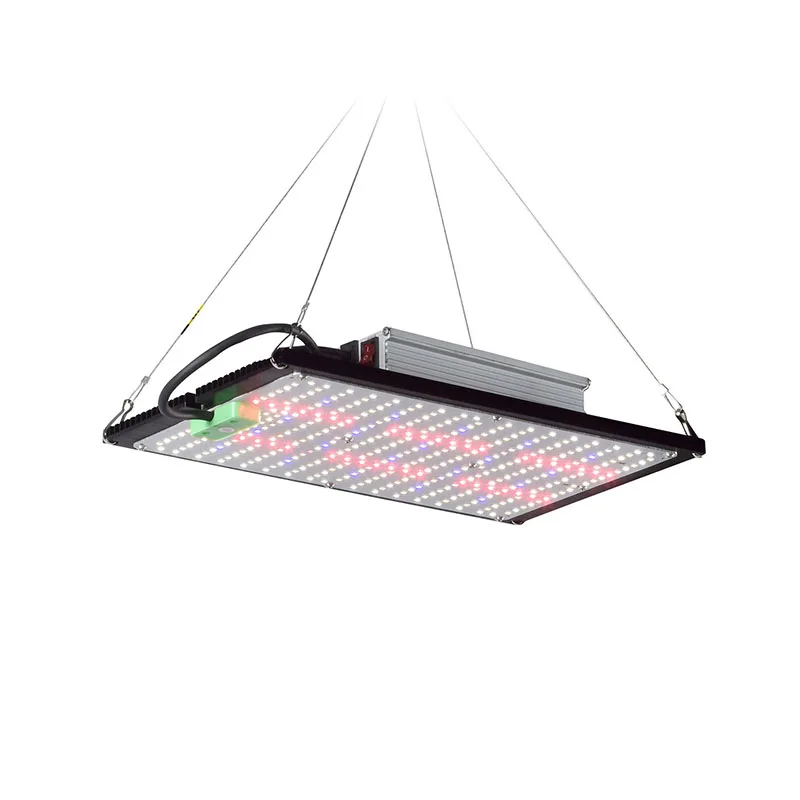 LED Quantum‑Board Grow Light F - Grow Light Led recension och pris